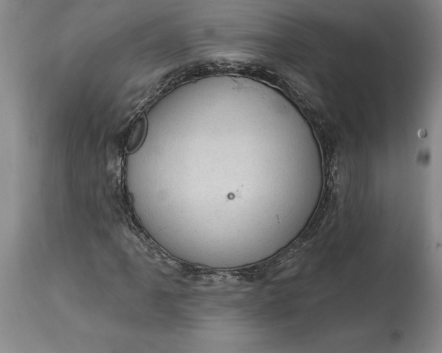 X0000113631061200910021846