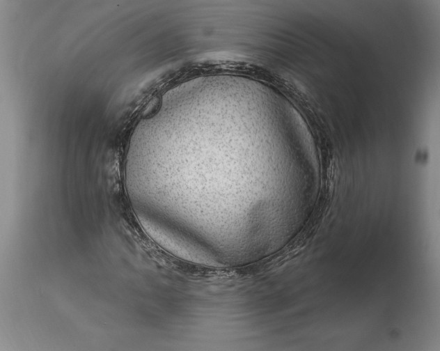 X0000113631062200910021846