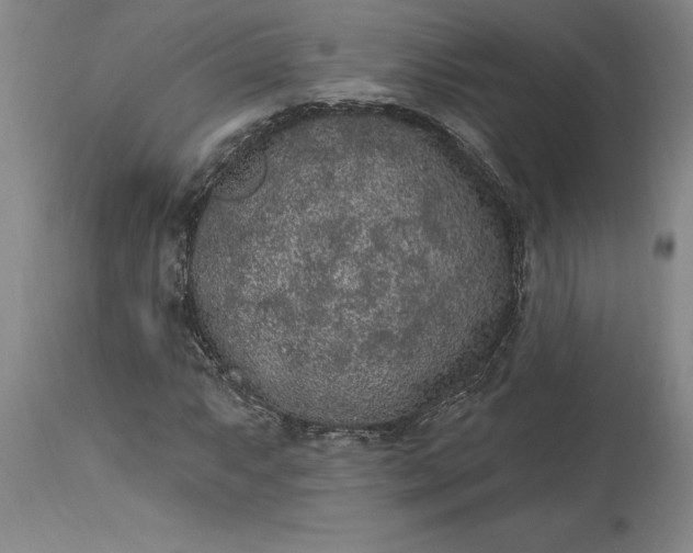X0000113631063200910021846