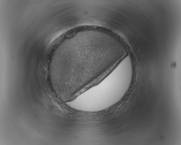 X0000113631064200910021846