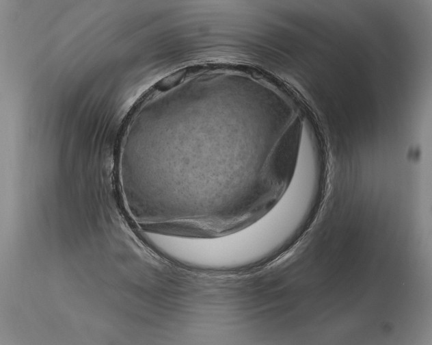 X0000113631065200910021846