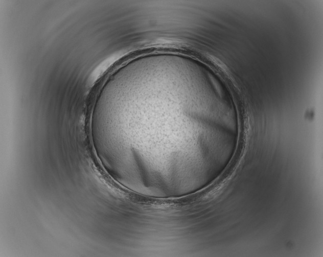 X0000113631066200910021846