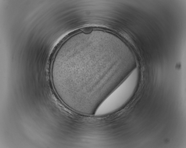 X0000113631068200910021846