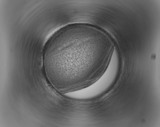 X0000113631069200910021846