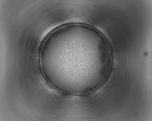 X0000113631070200910021846