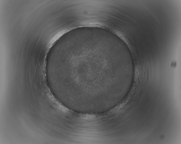 X0000113631071200910021846