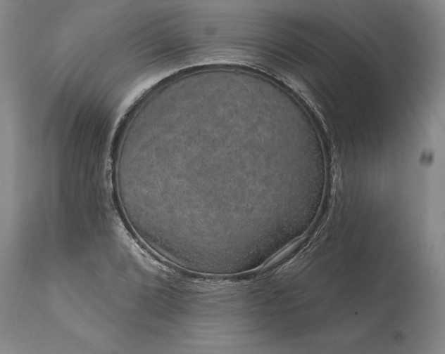 X0000113631072200910021846