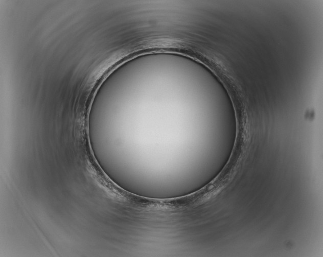 X0000113631073200910021846