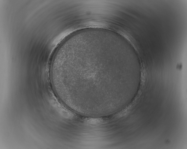 X0000113631074200910021846