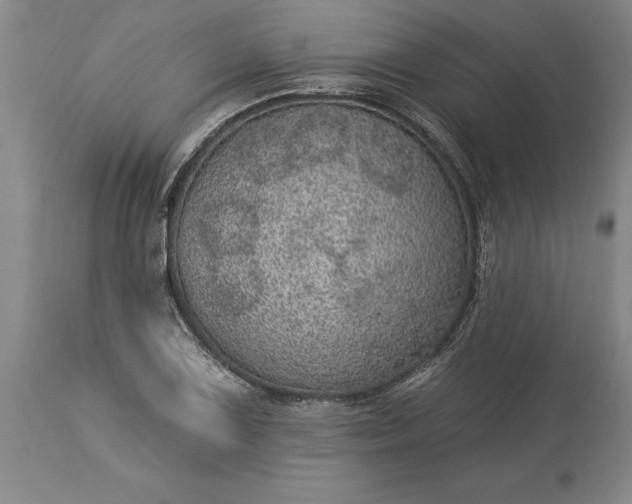 X0000113631075200910021846