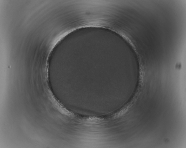 X0000113631077200910021846