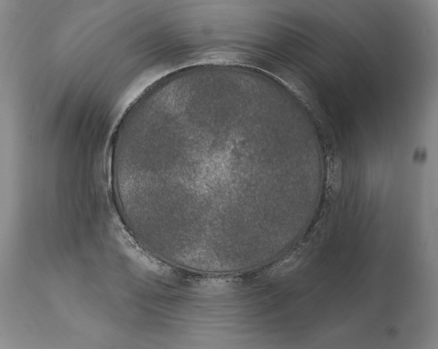 X0000113631078200910021846