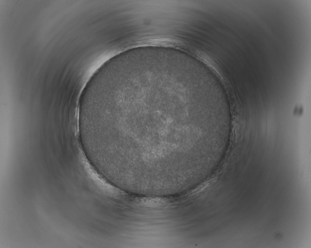 X0000113631079200910021846