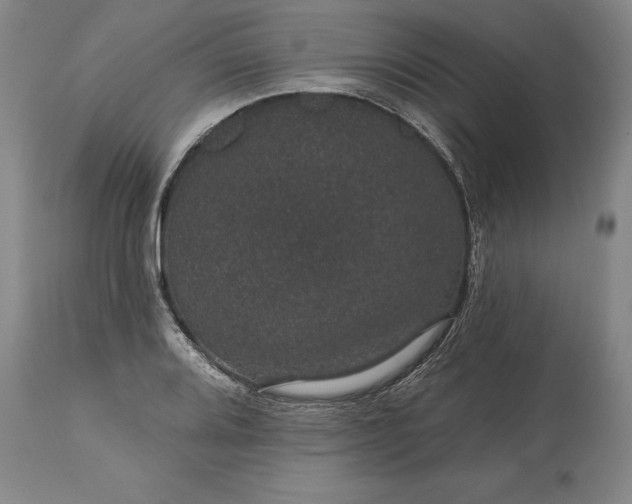 X0000113631080200910021846
