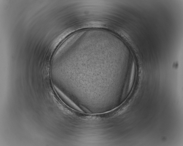 X0000113631081200910021846