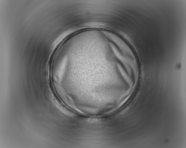 X0000113631082200910021846