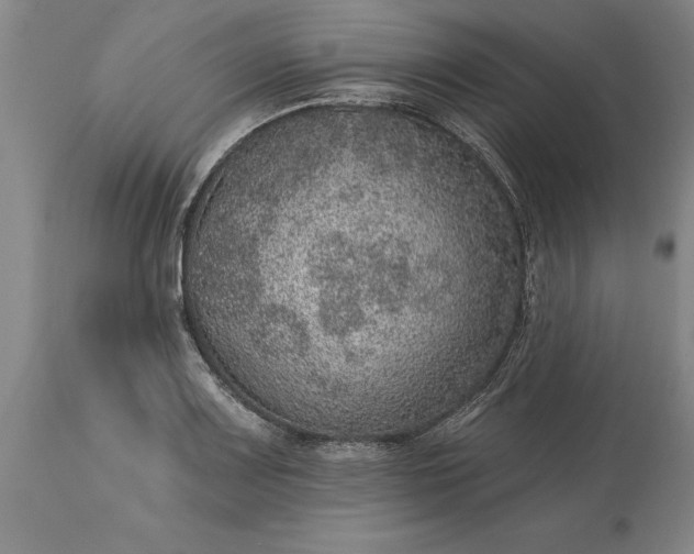X0000113631083200910021846