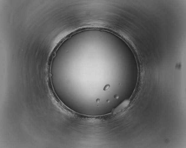 X0000113631085200910021846