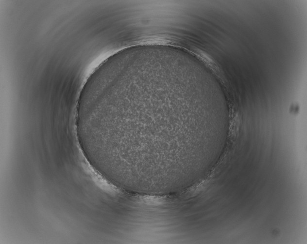 X0000113631086200910021846