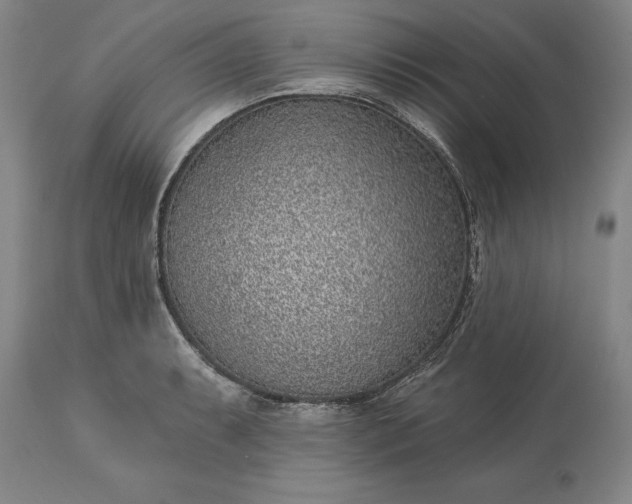 X0000113631087200910021846