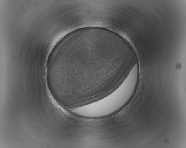 X0000113631088200910021846