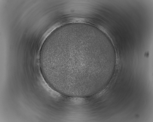 X0000113631090200910021846