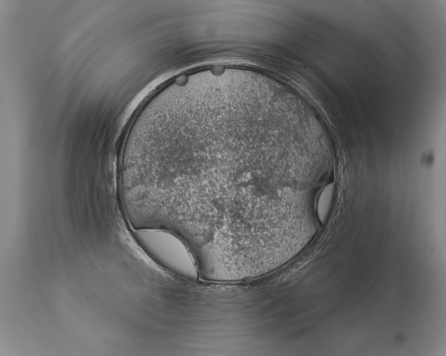 X0000113631092200910021846