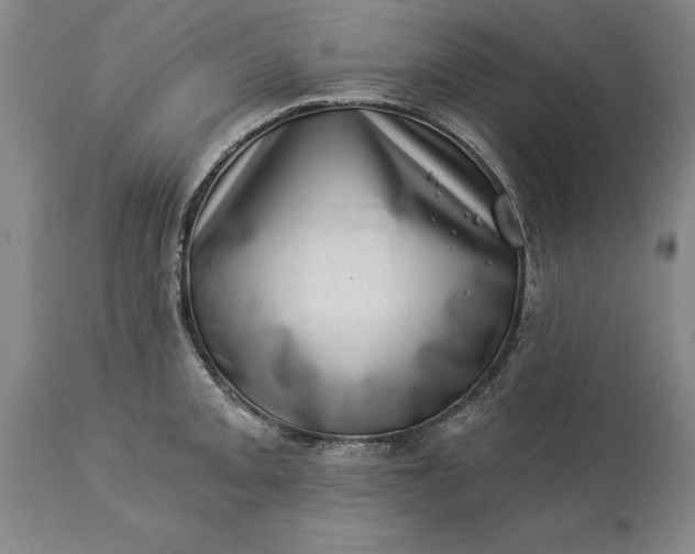 X0000113631093200910021846