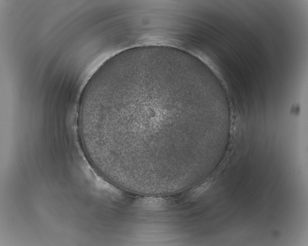 X0000113631094200910021846