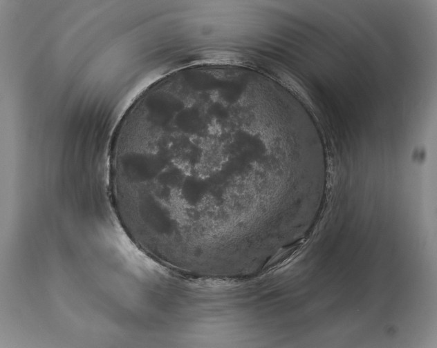 X0000113631095200910021846