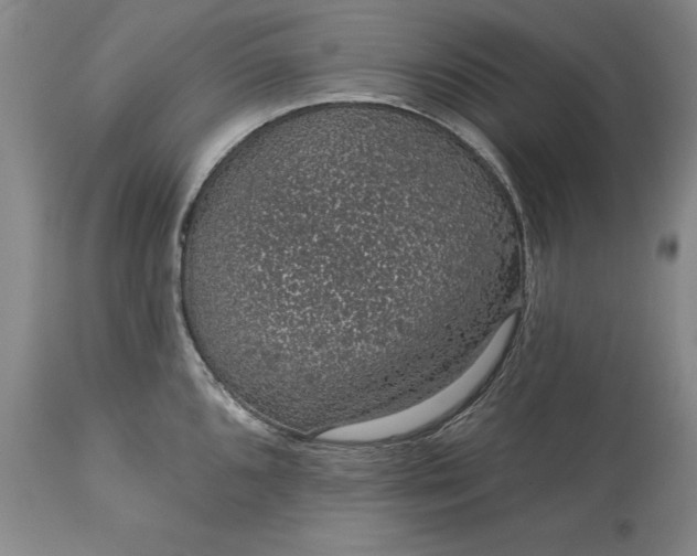 X0000113631096200910021846