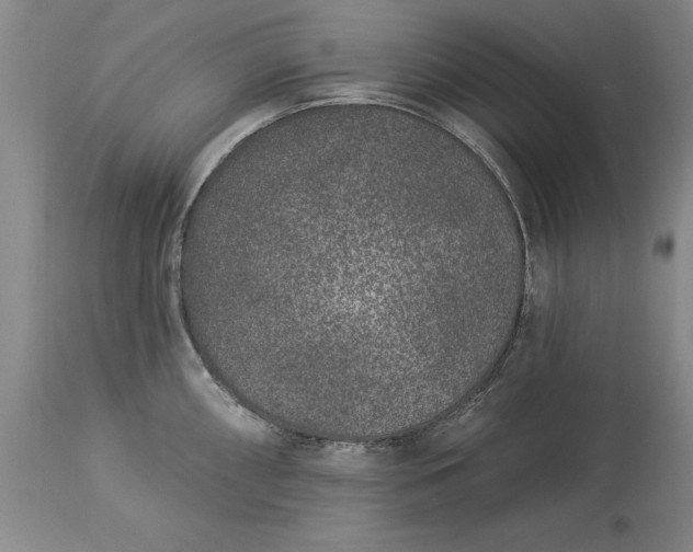X0000113631098200910021846