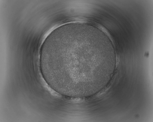 X0000113631099200910021846