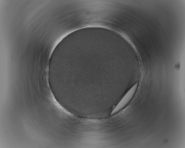 X0000113631100200910021846