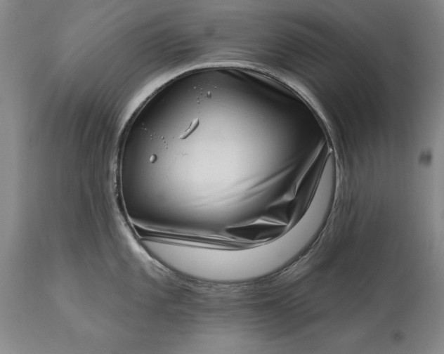 X0000113631101200910021846
