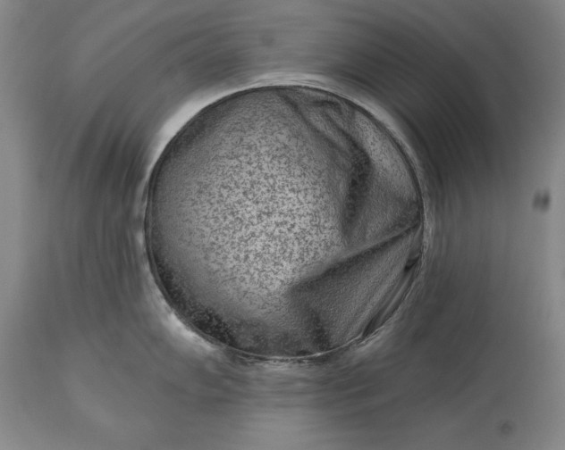 X0000113631102200910021846