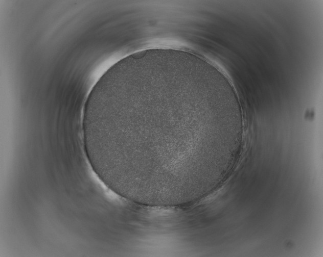 X0000113631103200910021846