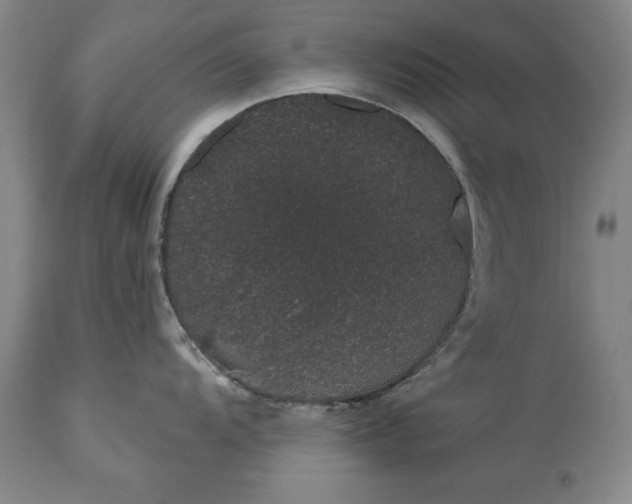 X0000113631104200910021846
