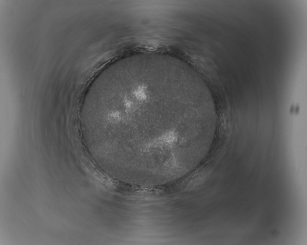 X0000113631105200910021845