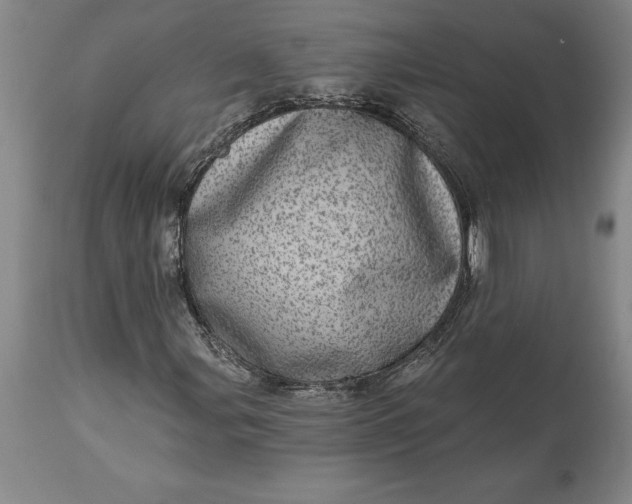 X0000113631107200910021845