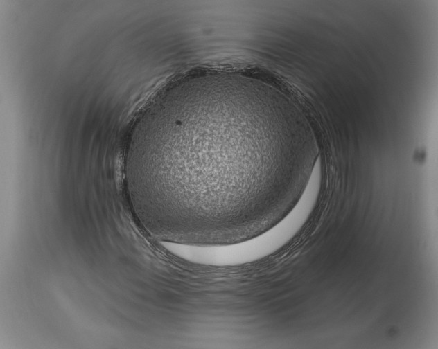 X0000113631108200910021845