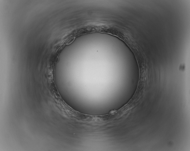 X0000113631109200910021845