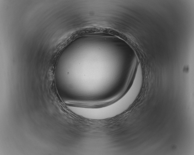 X0000113631110200910021845