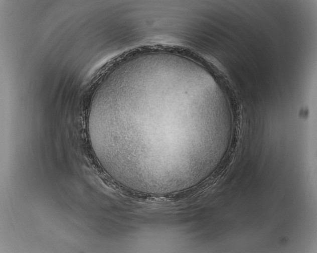X0000113631112200910021845