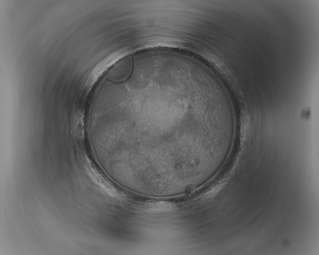X0000113631113200910021845