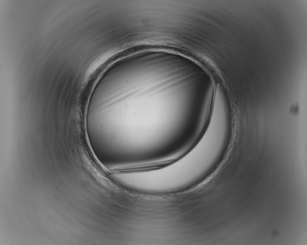 X0000113631114200910021845
