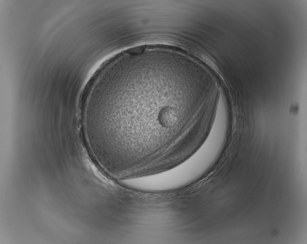 X0000113631116200910021845