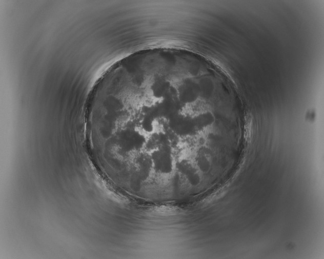 X0000113631117200910021845