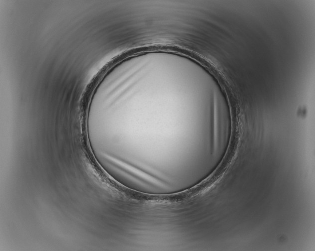 X0000113631118200910021845