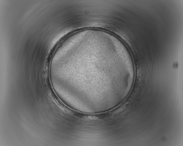 X0000113631119200910021845